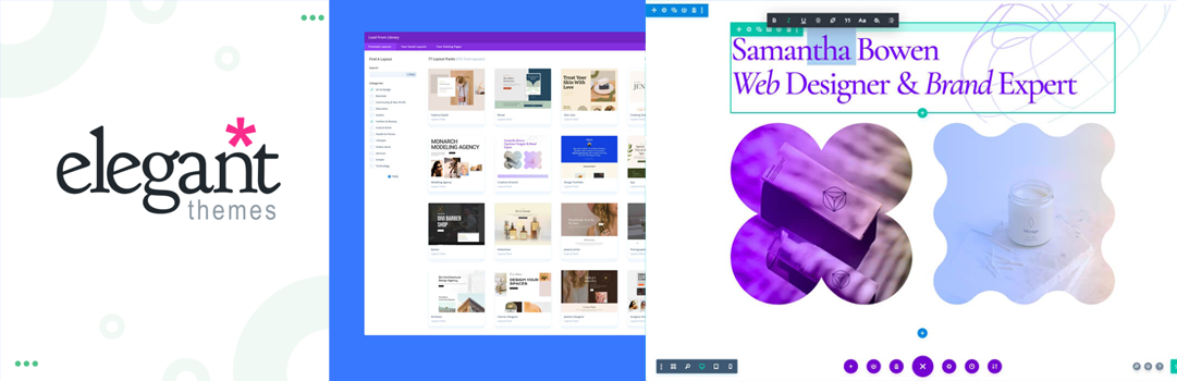 Divi Theme 1 DIVI Theme