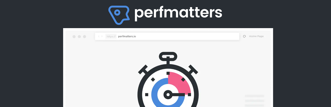 Perfmatters 1 Perfmatters